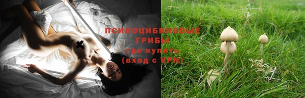 дистиллят марихуана Беломорск