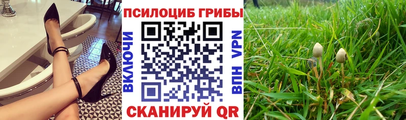 Галлюциногенные грибы MAGIC MUSHROOMS Щёкино